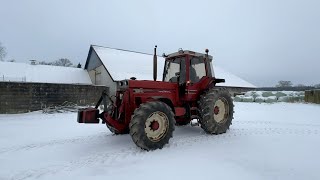 International 1255 XL ホイールトラクター | 画像 4 - Agroline