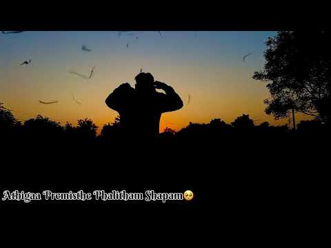 Maikamaa Lyrics from the movie Thiru ❤️ Anirudh Ravichander - Topic  #telugushorts #love n #support