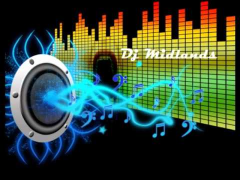 DJ Midlands - Run This Town (Desi Mix)
