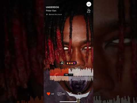 Peter Xan - UNDERDOG