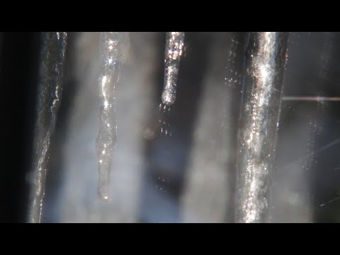 Video thumbnail for We Try to Make Sense of It All