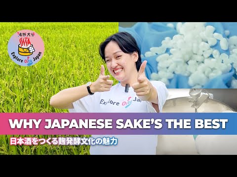 Learning the Secret to Japanese Sake at Oita’s Newest Brewery