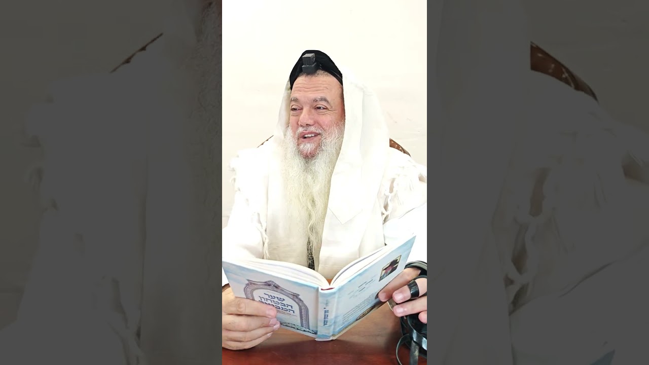 שער הביטחון | סבב שני - פרק 233