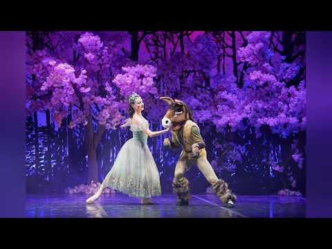 Donkey mask for the P 1807 - video 3