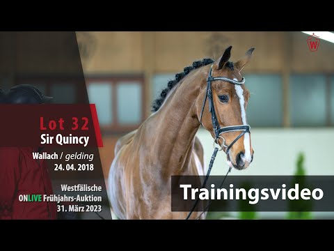 ONLIVE Frühjahrs-Auktion Training Lot 32 Sir Quincy Wallach v. Sir Heinrich - Fiderstep