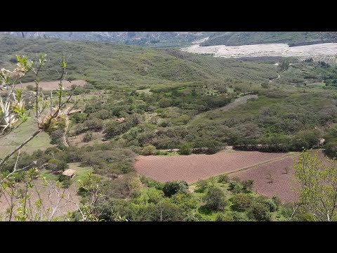 Sonia Morales - 🎶El Coche de su Madre🎶