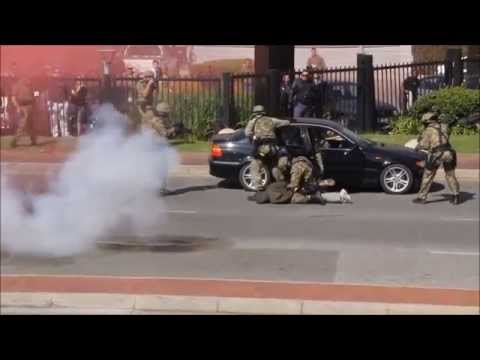 Special Task Force Simulation 2010 FIFA World Cup