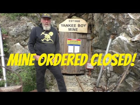 #377 Yankee Boy Closure!