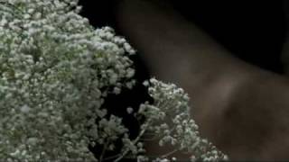 Violens "Doomed" Music Video