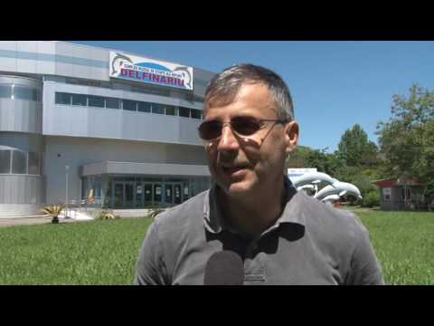 Știre Etv/ 30.05.2017 – ZIUA COPILULUI, LA DELFINARIU