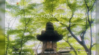 Staying at Sheraton Miyako Hotel Tokyo: Spacious Rooms & Beautiful Courtyard
