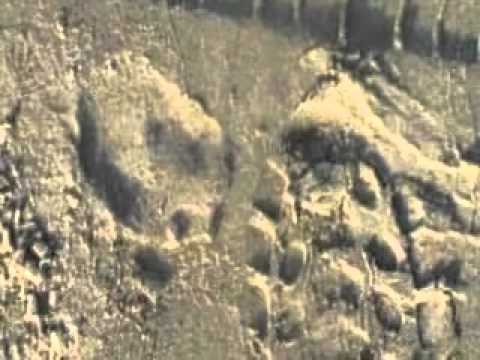 Goa Ga Ga by Sarvdeep