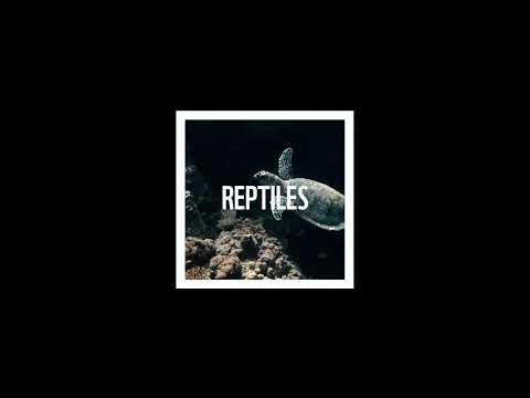 OUR RELATIONSHIP WITH NATURE?