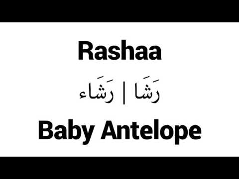How to Pronounce Rashaa! - Middle Eastern Names