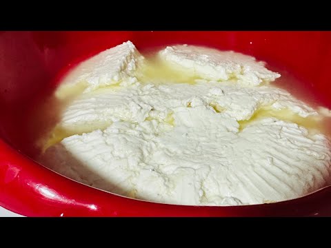 Kako napraviti domaći sir//Samo mlijeko//Bez sirila/Bez limuna/Bez sirceta prirodan mladi sir