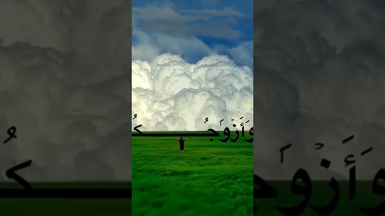 ادخلوا الجنة انتم و ازواجكم 🤍 #قران_كريم #اكسبلور #المصحف #دويتو #الرحمن #تصميمي #القزابري #قران