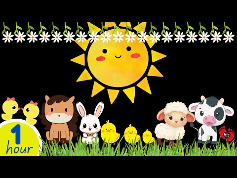 Cute & Fun Farm Animals | High Contrast Baby Sensory | Classic Nursery Rhymes