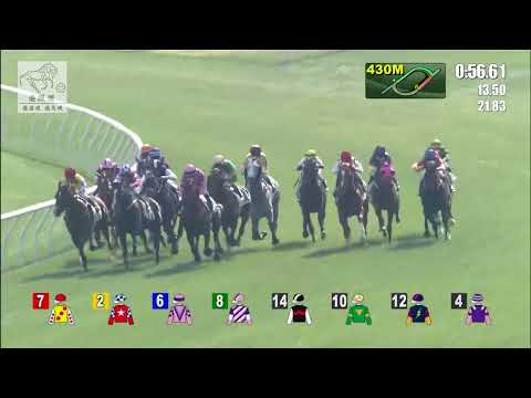 港經佬賽事重溫｜18-12-2021 田草日馬第五場賽事重溫 (265)｜天天得樂 Happy Daily (E294)｜田泰安 K Teetan｜何良 L Ho｜免費心水及賽馬貼士