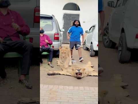 Daddy plz come back🥹💔scar miss his dad🥹💔 #ytshorts #lion #animallife #broken #animals #wild