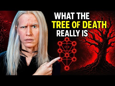 I Investigated The Tree of Death and Here's What I Found