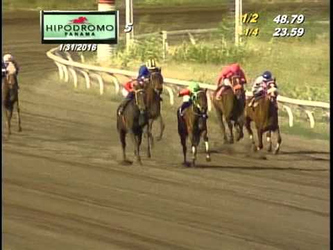 5TA CARRERA DEL DOMINGO 31 DE ENERO DE 2016