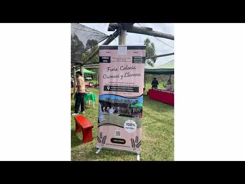 ENTREVISTA- PATRICIA- FERIA OSIMANI Y LLERENA