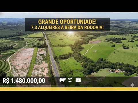 FAZENDA na RODOVIA Bofete/Porangaba! 🌾 7,3 Alqueires p/ Pecuária, Plantio e INVESTIMENTO RURAL | SP
