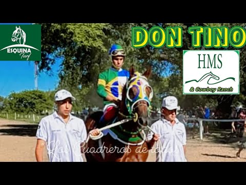 DON TINO (Arrufo Santa Fe) Jockey Club de Progreso Santa Fe  02-02-2025