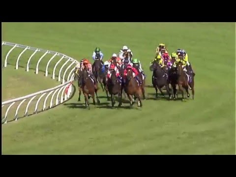 Mongolian Khan NZ Derby & Presentation