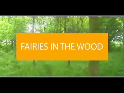 EXCEL 5 Module 6 Fairies in the Wood