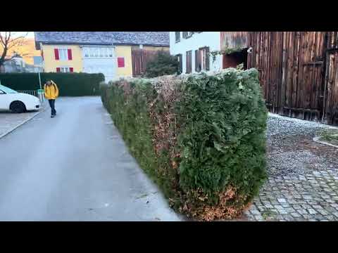 A Walking Tour of Buchs SG Switzerland