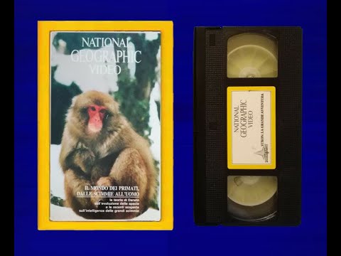 Il mondo dei primati, dalle scimmie all'uomo (NGS)