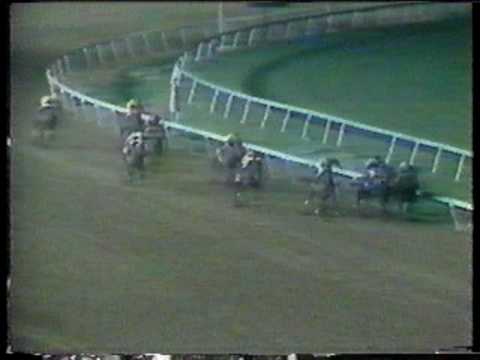 Spectacular Bid - 1978 Young America Stakes