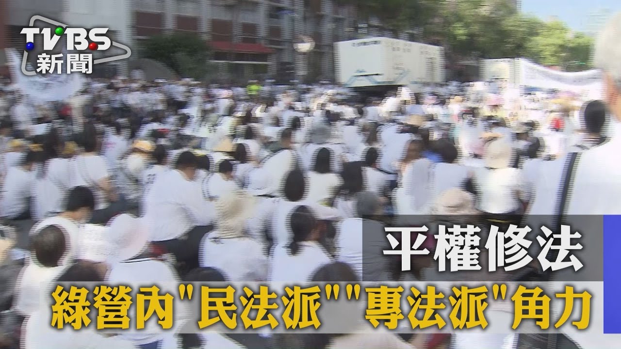 平權修法 綠營內「民法派、專法派」角力