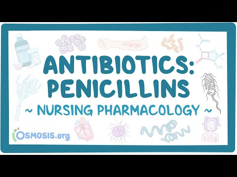 Antibiotics - Penicillins: Nursing Pharmacology