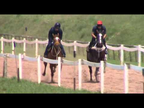 2012-10-15 Final Episode trackwork