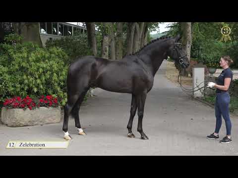 Kat. Nr. 12 Zelebration