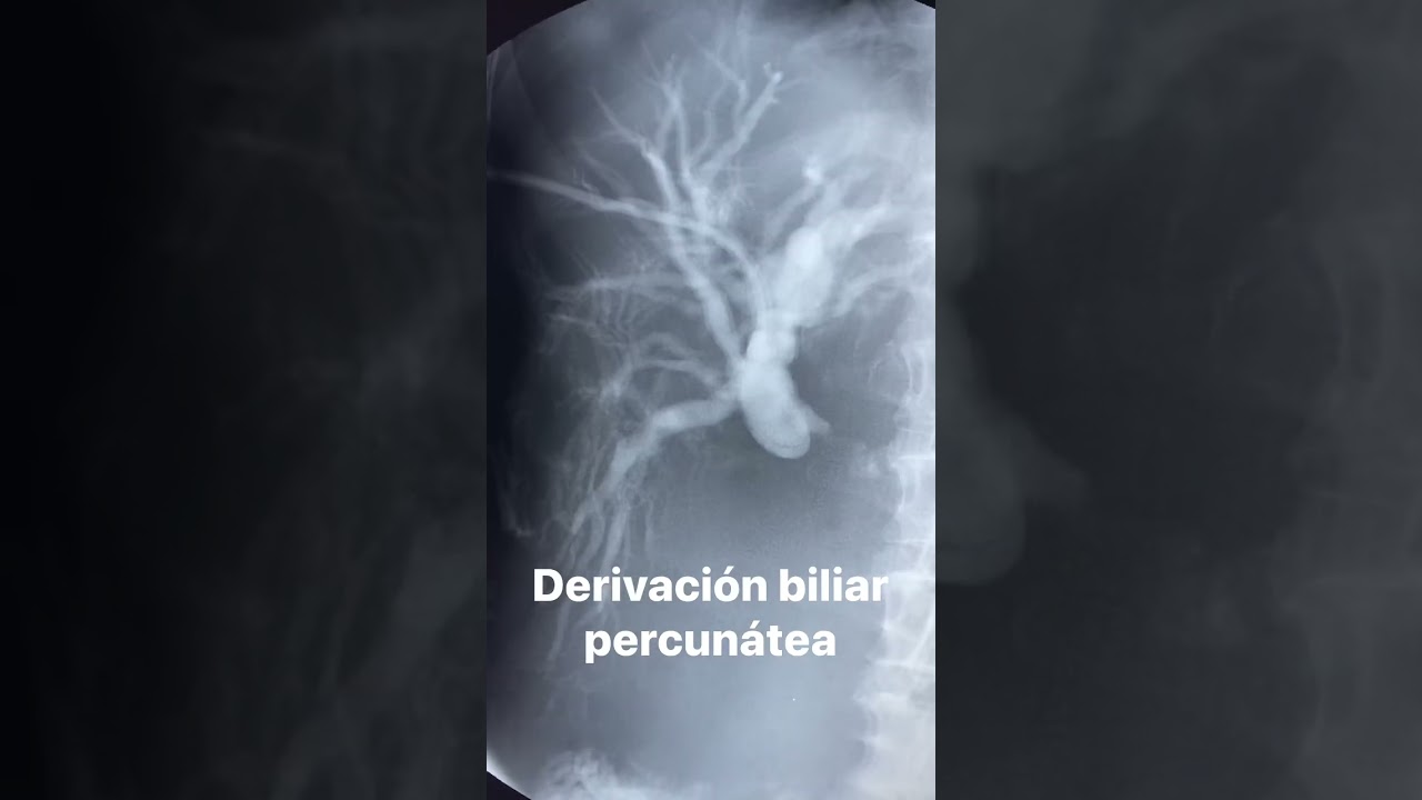 Eduardo Beato Estrada-9