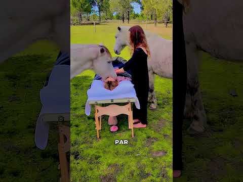 Elle a dit adieu à ses chevaux… ce qu’ils ont fait est bouleversant 😢