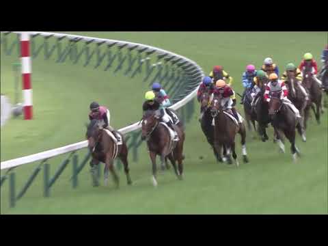 Danon the Kid wins race 5 at Hanshin 6/28/2020