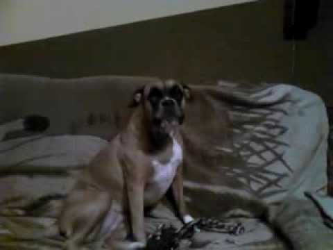 KIM JESTEŚ ? JESTEŚ ZWYCIĘZCĄ !!! ;)