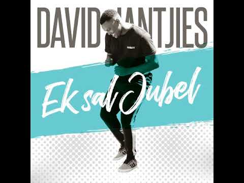David J - Ek sal Jubel