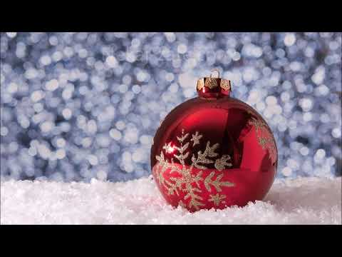 Novoletno voščilo 2024 ✨✨✨