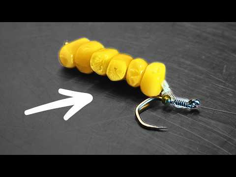 3 Must-Try Corn Rigs Every Angler Needs This Summer ☀️