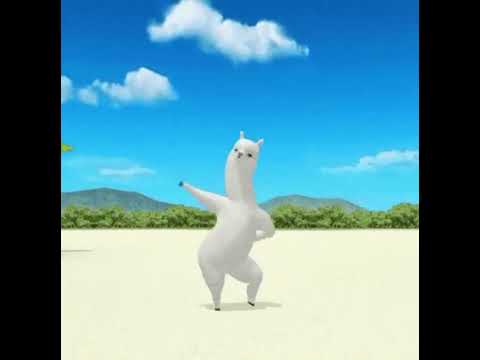 Mi pan su su su su #dancingllama