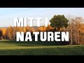 Vinjett Mitt I Naturen