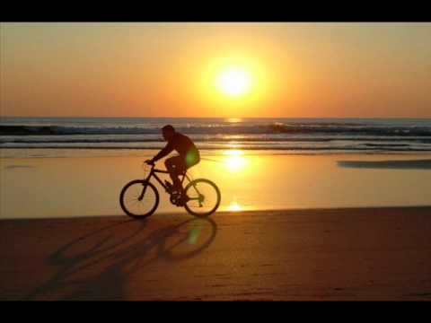 Amigo - Denise Cardoso