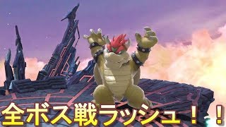 表世界の全ボス戦【スマブラＳＰ】