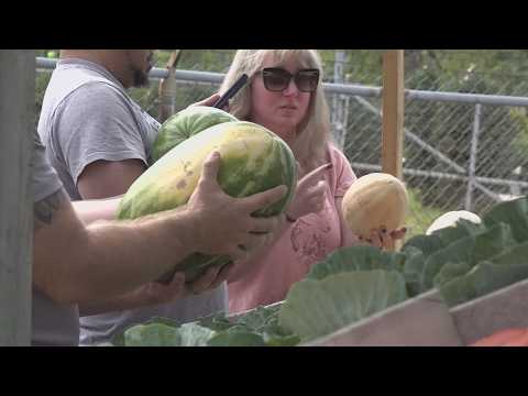 Shoppers turn to local produce amid Cyclospora Outbreak