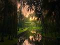 Try With Your Own Voice Tum Bin Main Dekho To WhatsApp Status Love Sad Status Song Aestheic